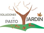 Soluciones En Pasto Y Jardín