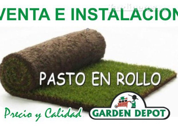 Pasto en Rollo