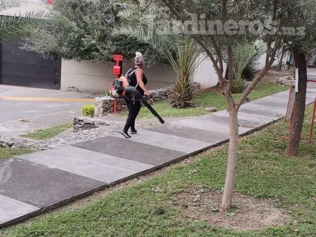 Mantenimiento a parques de colonias privadas