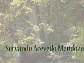 Servando Acevedo Mendoza