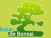 Bazar Bonsai
