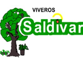 Viveros Saldívar