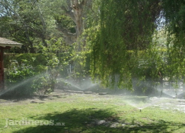 Servicio De Jardinería