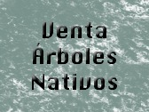 Venta Árboles Nativos