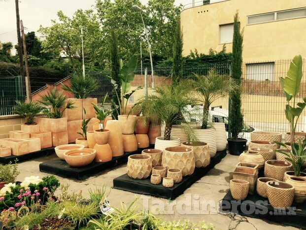 conillas-paisajismo-y-jardineria-exposicio-de-tiestos-de-ceramica-para-jardines-10.jpg