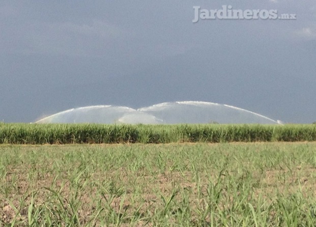 Sistemas de riego Irridelco