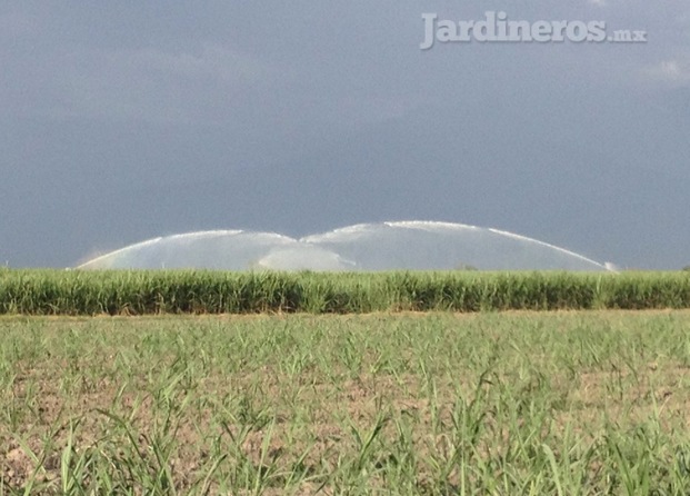 Sistemas de riego Irridelco