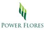 Power Flower