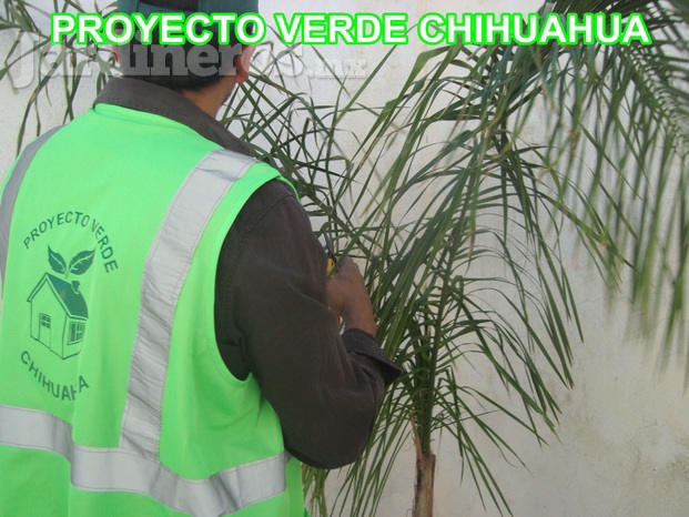 Proyecto verde chihuahua.