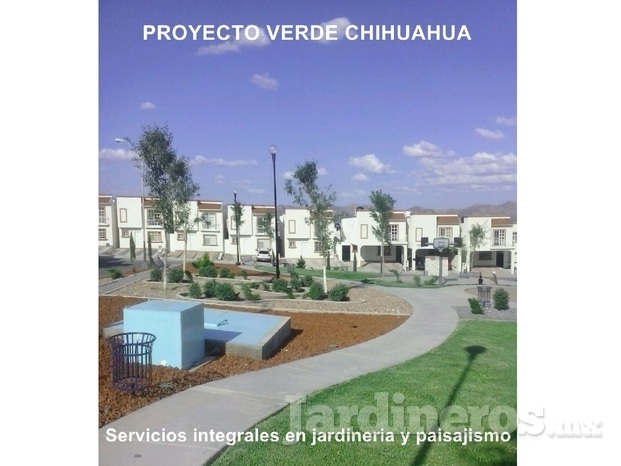 Proyecto Verde Chihuahua