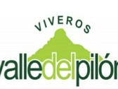 Valle Del Pilón