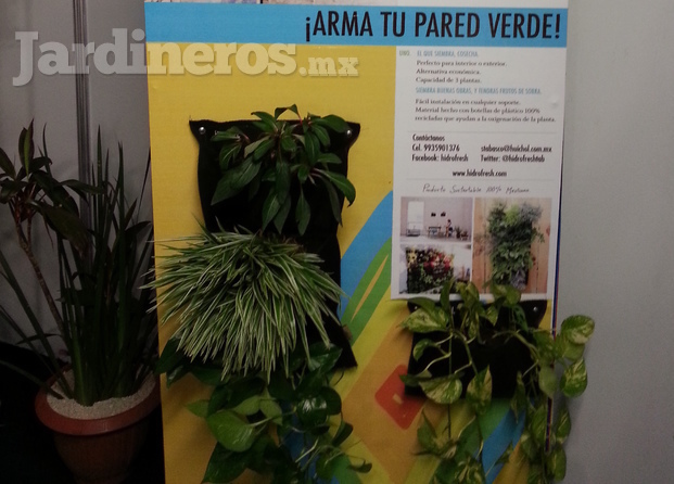 Arma tu Pared Verde