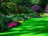 Perfect Garden