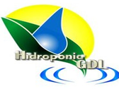 Hidroponia Gdl
