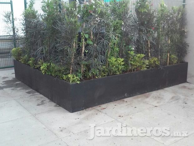 Proyecto cobertura azotea 001-03