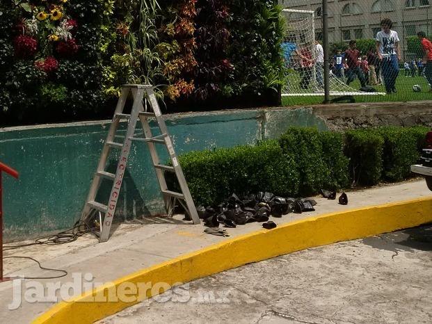 Proyecto muro canchas 