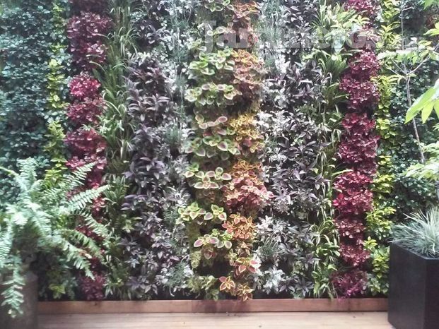 Jardin vertical 