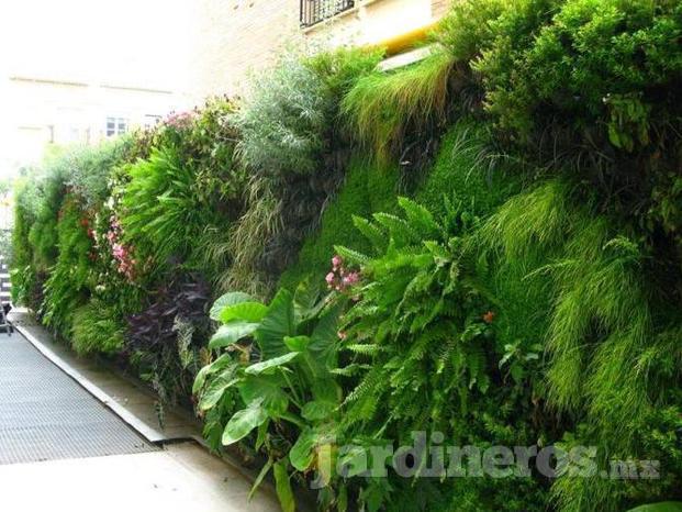 Techos Verdes Y Jardines Verticales