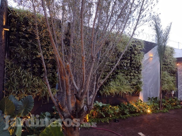 Diseño de jardines 