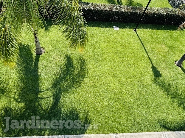 Mantenimiento de jardín 