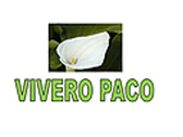 Vivero Paco