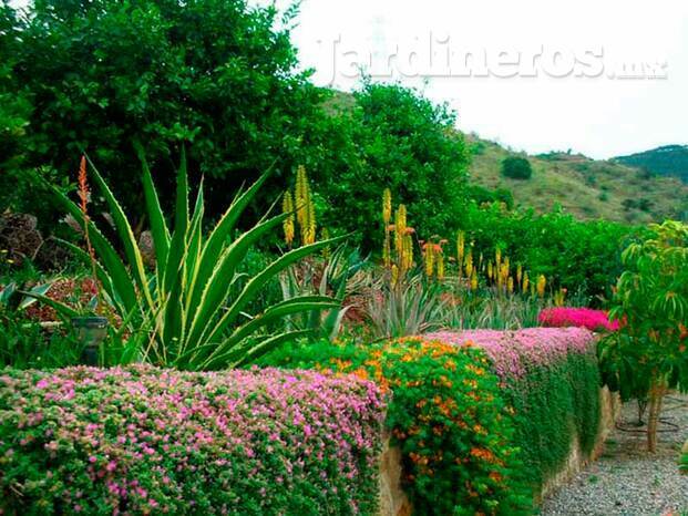 Jardinería profesional