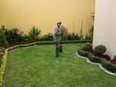 Logo TONYJARDY  profecionales en jardineria