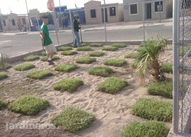 Jardineria Y Más...