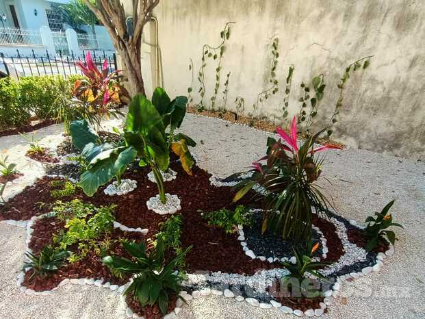 Mantenimiento Jardines en Mérida - Tzal Jardinería - Jardineros profesionales