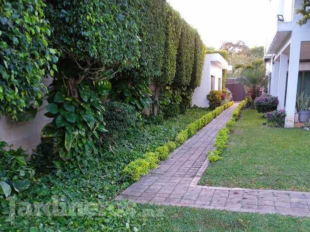 Mantenimiento Jardines en Mérida - Tzal Jardinería - Jardineros profesionales