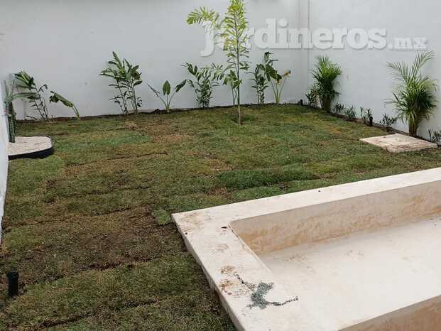 Instalación de Pasto Tzal Jardinería