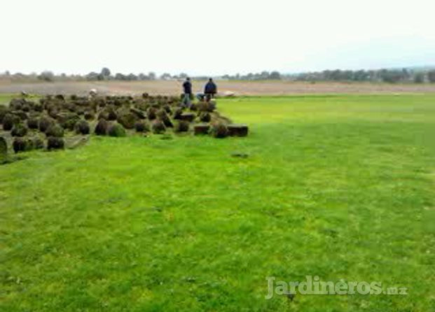 Jardinería Barreto