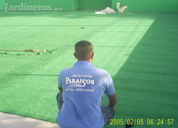 Tecnología En Jardinería