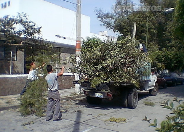 Tecnología En Jardinería