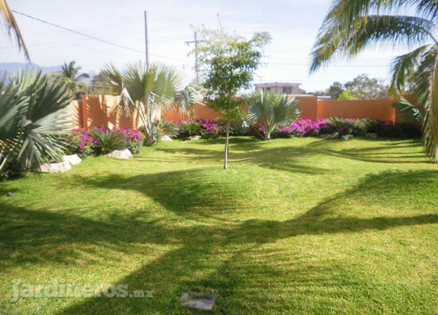 Trópico Jardinería