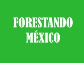 Forestando México