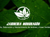 Jardinería Andrés Mondragón