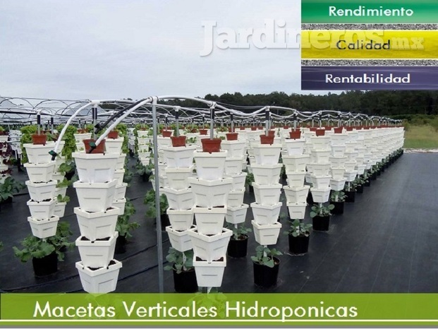 macetas Verticales Hidroponicas | Producción masiva de hortalizas y fresa