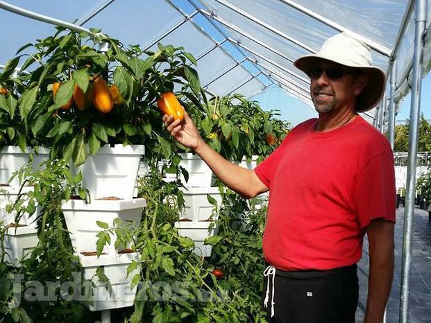 Producción  de alimentos de calidad.