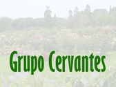 Grupo Cervantes