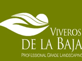 Viveros De La Baja