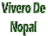 Vivero De Nopal