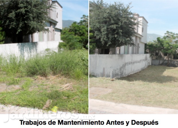 Mantenimientos antes y después