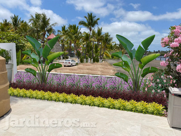 Jardín en casa de playa