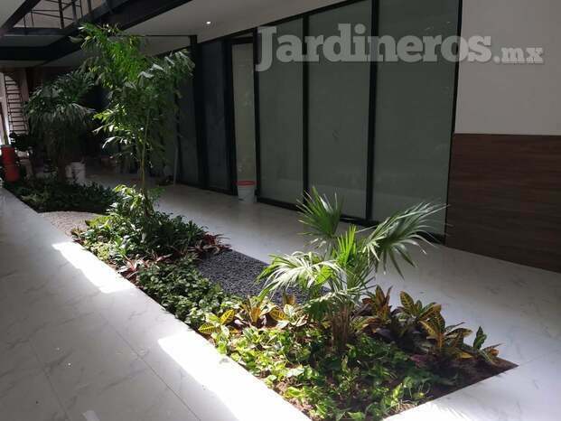 Jardineras en interior