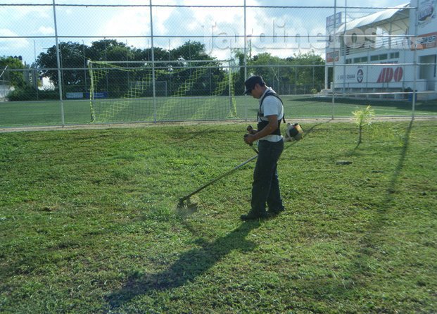 Mantenimiento de jardines