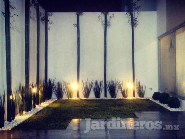 Diseño de Jardín Exterior pequeño!