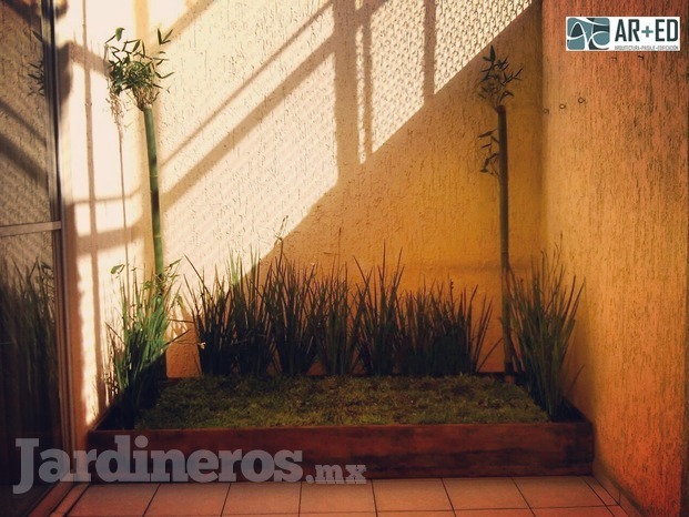 Jardín Mini decorativo para espacios pequeños