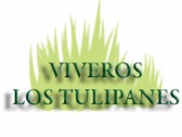 Vivero Los Tulipanes