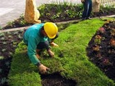 Alfombras Verdes